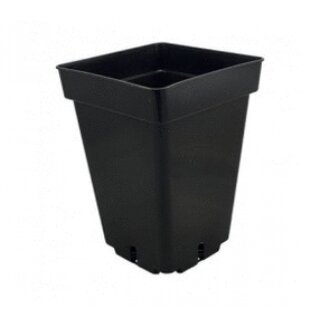 5,5 Liter Topf viereckig/schwarz, 18 x 18 x 25.5 cm