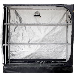 Mammoth Propagator 125, 126 x 62 x 123 cm