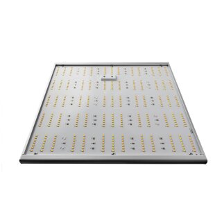 Caluma Force LED 150 W, 2,7 µmol/J