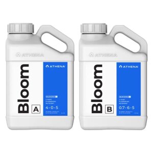Athena Blended Line Bloom A & B