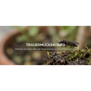 SF Nematoden gegen Trauermücken 50 Mio/100 m2