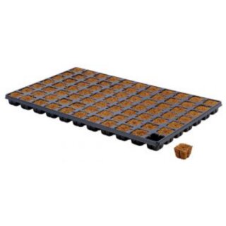 Eazy Plug 77er Anzuchttray 10 Tray per Krt.
